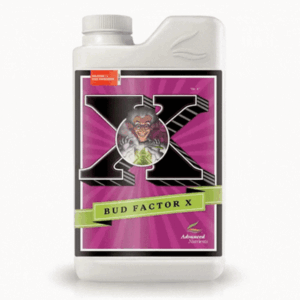 Golden Dining Chair - Görsel 2